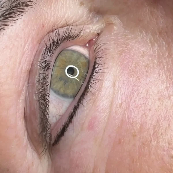 bottom tattoo permanent eyeliner