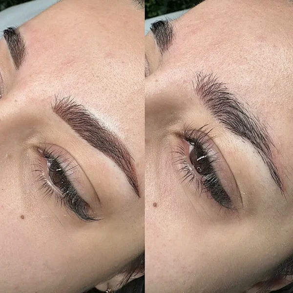 eyebrow tattoos before and after