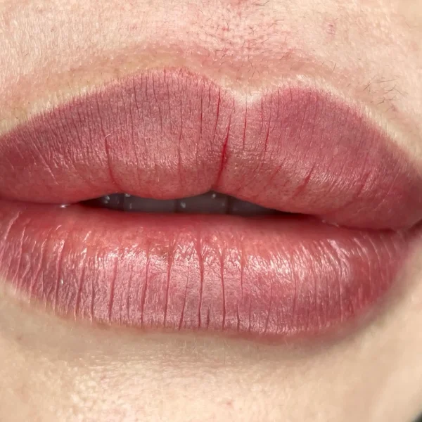korean ombre lips