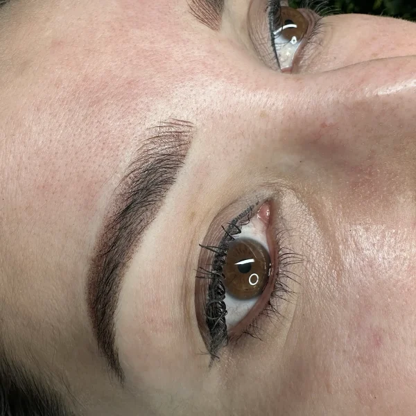 micro blade eyebrows