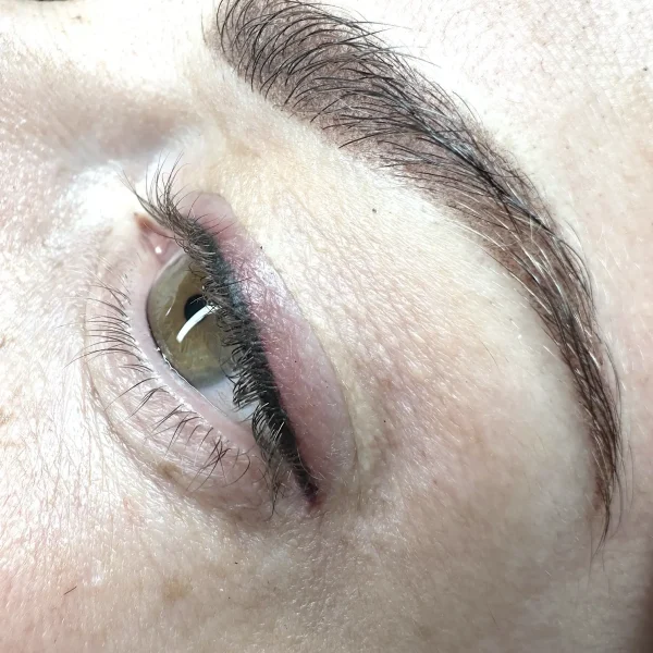 micro bladed eyebrows