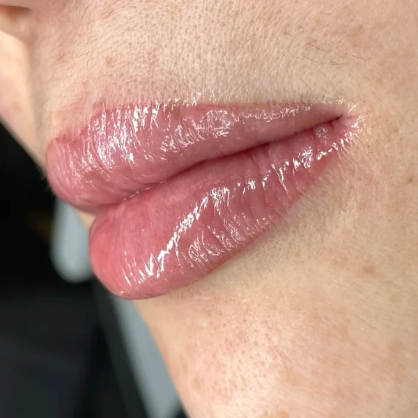 ombre lips natural