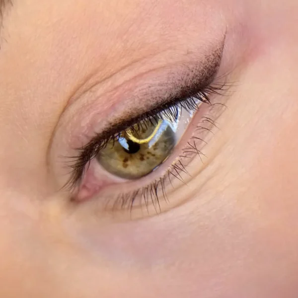 shaded eyeliner permanent makeup