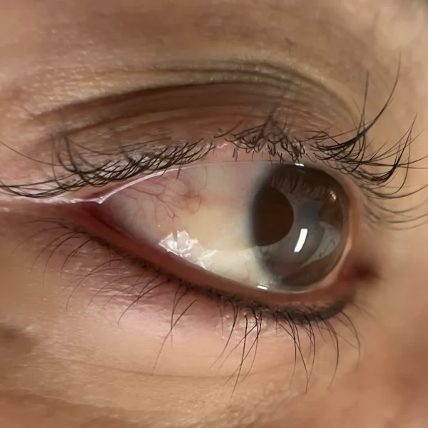 tattoo eyeliner top and bottom