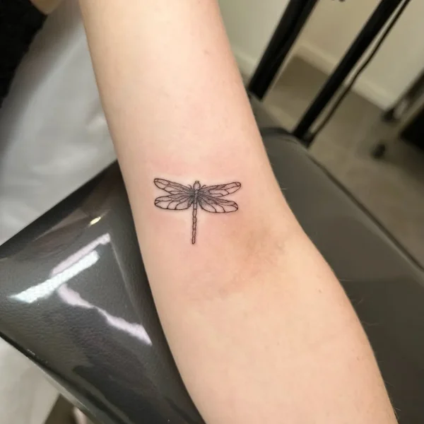 training fine line tattoo course