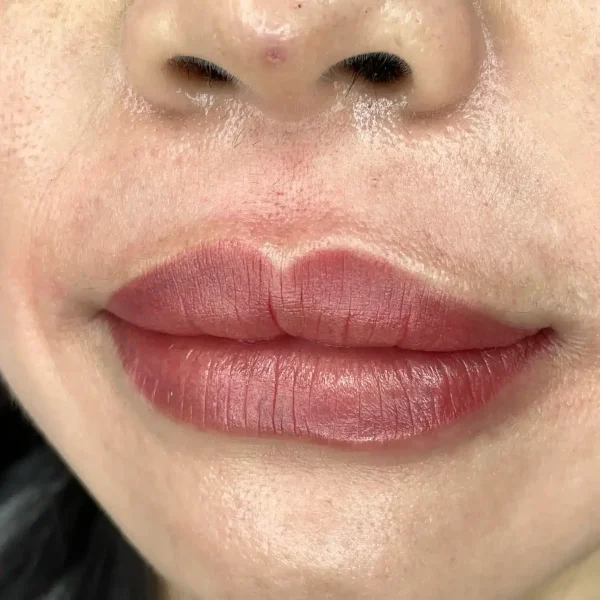 what is ombre lips