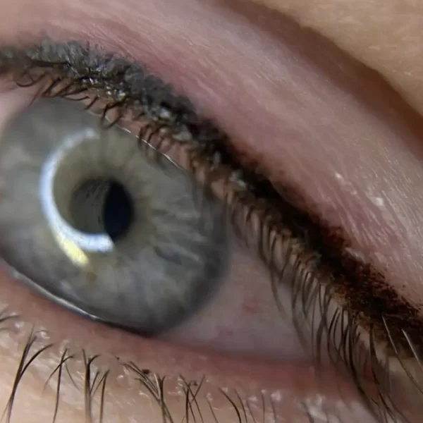winged eyeliner tattoo in Brisbane