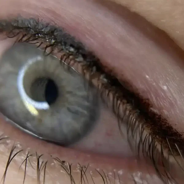 winged eyeliner tattoo in Brisbane